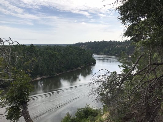 The Nature Conservancy Apalachicola Bluffs and Ravines Preserve (Garden of Eden trail) by null