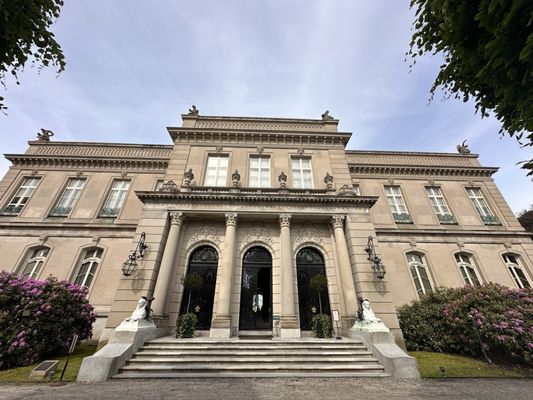 The Elms by null
