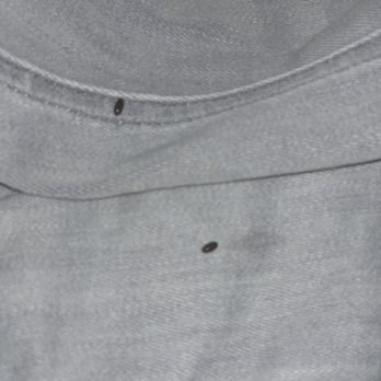 Hotel Royal - Mouse droppings on my jeans I left out on the desk - Hotels Near Me - New Orleans, Louisiana