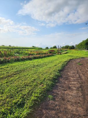 Wilson's Orchard & Farm (Des Moines) by null