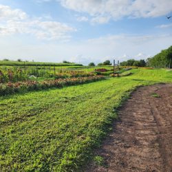 Wilson's Orchard And Farm - Des Moines