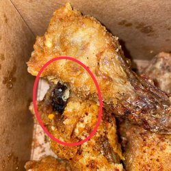 Poprice - hair in my chicken