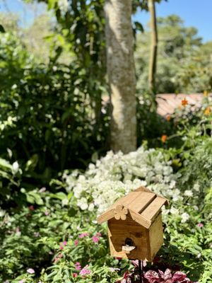 Sonya's Garden by null