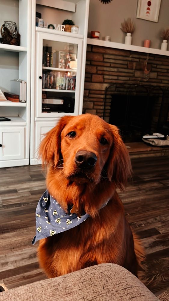 BEGGIN 4 MORE Updated September 2024 30 Photos & 70 Reviews 13692