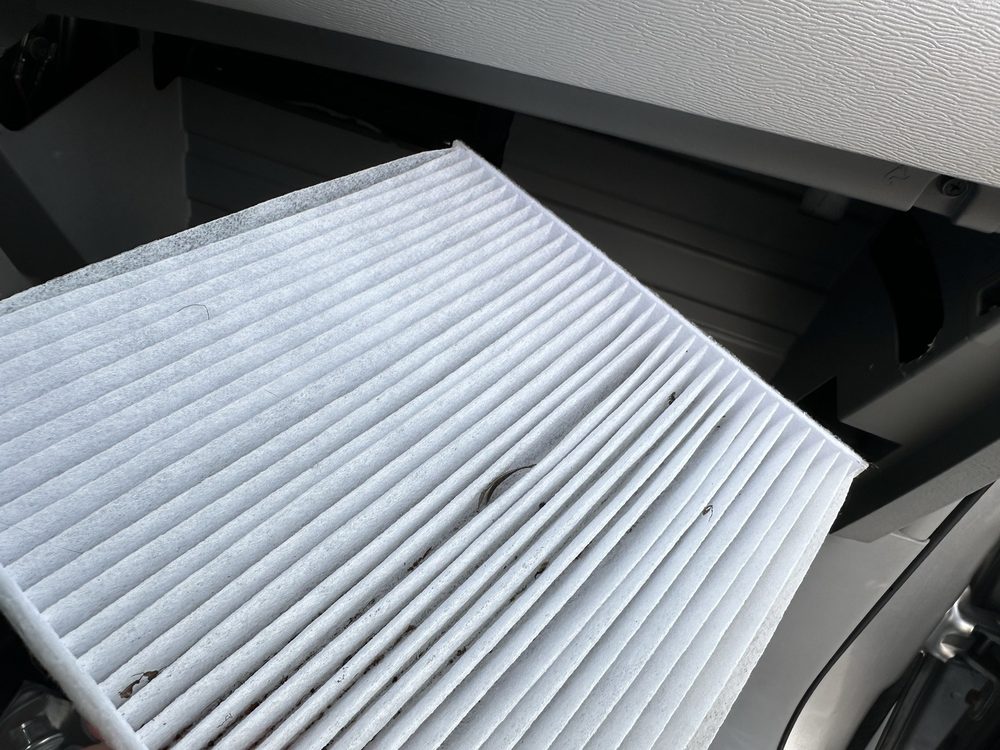 NEW COUNTRY TOYOTA OF WESTPORT Updated September 2024 14 Photos