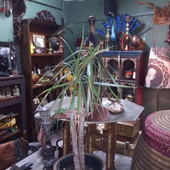 Halchemy Design - Antiques Near Me - Alexandria, NSW Halchemy Design - Antiques Near Me - Alexandria, NSW
