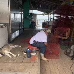 Kibbe & Company - Pier pup and fisherman working hard