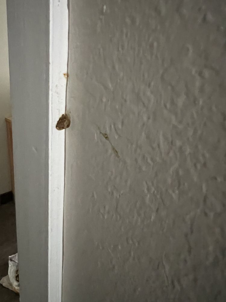 RED ROOF PLUS AND SUITES - 11 Photos - 11310 N 30th St, Tampa, FL - Yelp