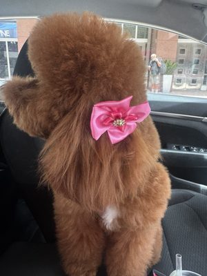 Animal Crackers by null