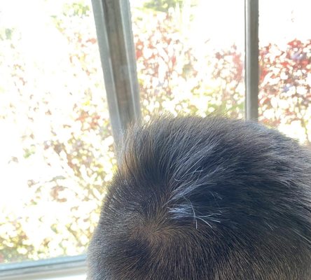 DYNASTY HAIR SALON - Updated January 2025 - 23 Photos & 49 Reviews