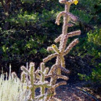 Atalaya Trail - Hiking Near Me