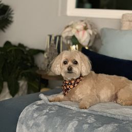 Maggie