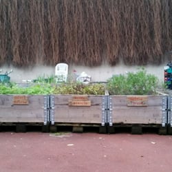 Orti Dipinti - Le (bizzarre) piante officinali