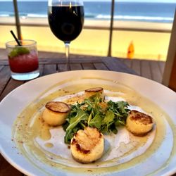 Avenue - Scallops