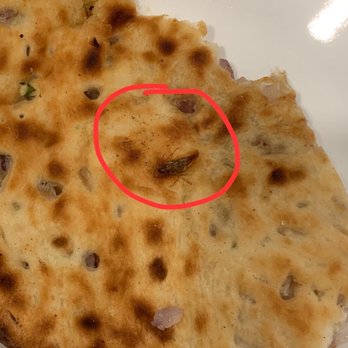 Sakoon Restaurant - Onion Kulcha, Plain Naan - Indian Near Me - Fremont, California Sakoon Restaurant - Onion Kulcha, Plain Naan - Indian Near Me - Fremont, California