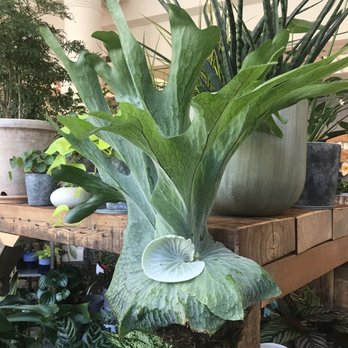 River Garden Studio - Florists Near Me - Albany, New York