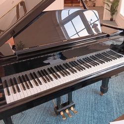The Sylvia Brafman Mental Health Center - Grand piano. 8/2025.