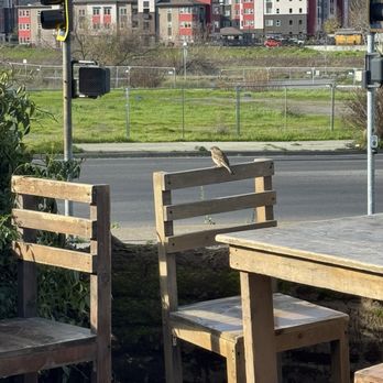 La Cheve Bakery and Brews - Outdoor seating - Breakfast & Brunch Near Me - Napa, California