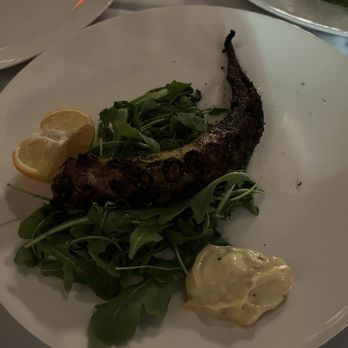 La Dolce Vita - Octopus - Italian Near Me - Fort Lauderdale, Florida