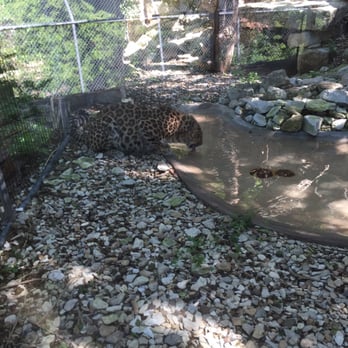 Sunset Zoo - Zoos Near Me - Manhattan, Kansas