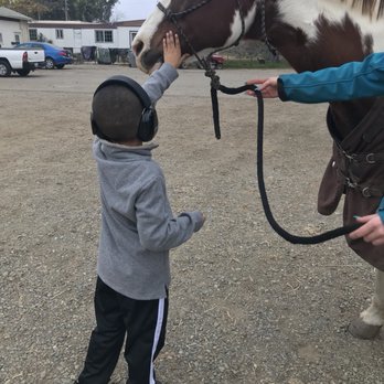 Pipe Dreams Farm - Horseback Riding Near Me - Rio Oso, California Pipe Dreams Farm - Horseback Riding Near Me - Rio Oso, California