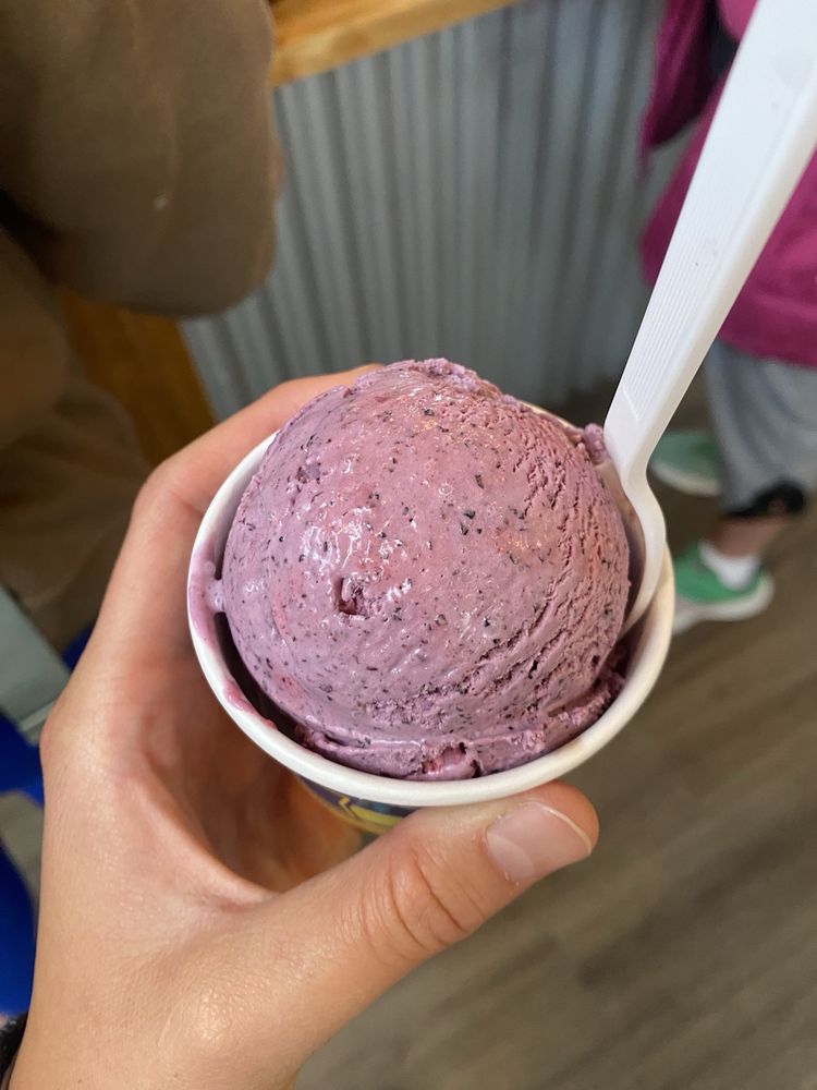Big Dipper Homemade Ice Cream Logo
