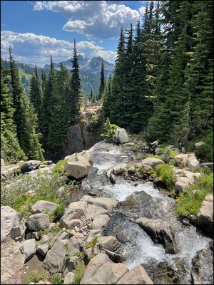 Myrtle Falls by null