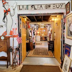 Live Flea or Buy