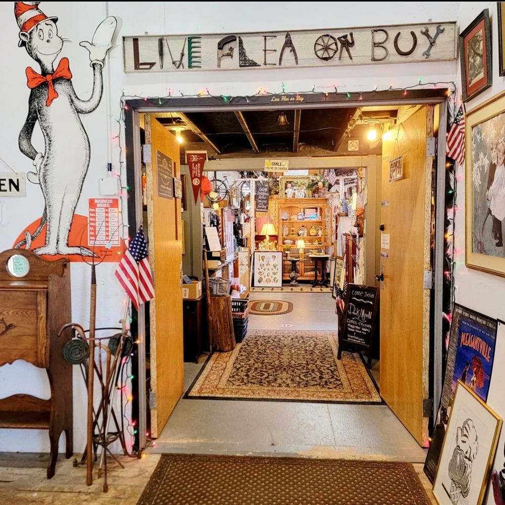 Live Flea or Buy Image