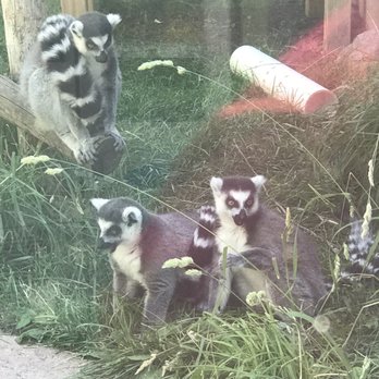 Idaho Falls Zoo - Zoos Near Me - Idaho Falls, Idaho Idaho Falls Zoo - Zoos Near Me - Idaho Falls, Idaho