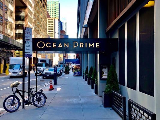 Ocean Prime by null