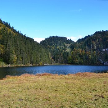 Taubensee - Wanderung Chiemseeblick - Taubensee | Taubensee - Lakes Near Me Taubensee - Wanderung Chiemseeblick - Taubensee | Taubensee - Lakes Near Me