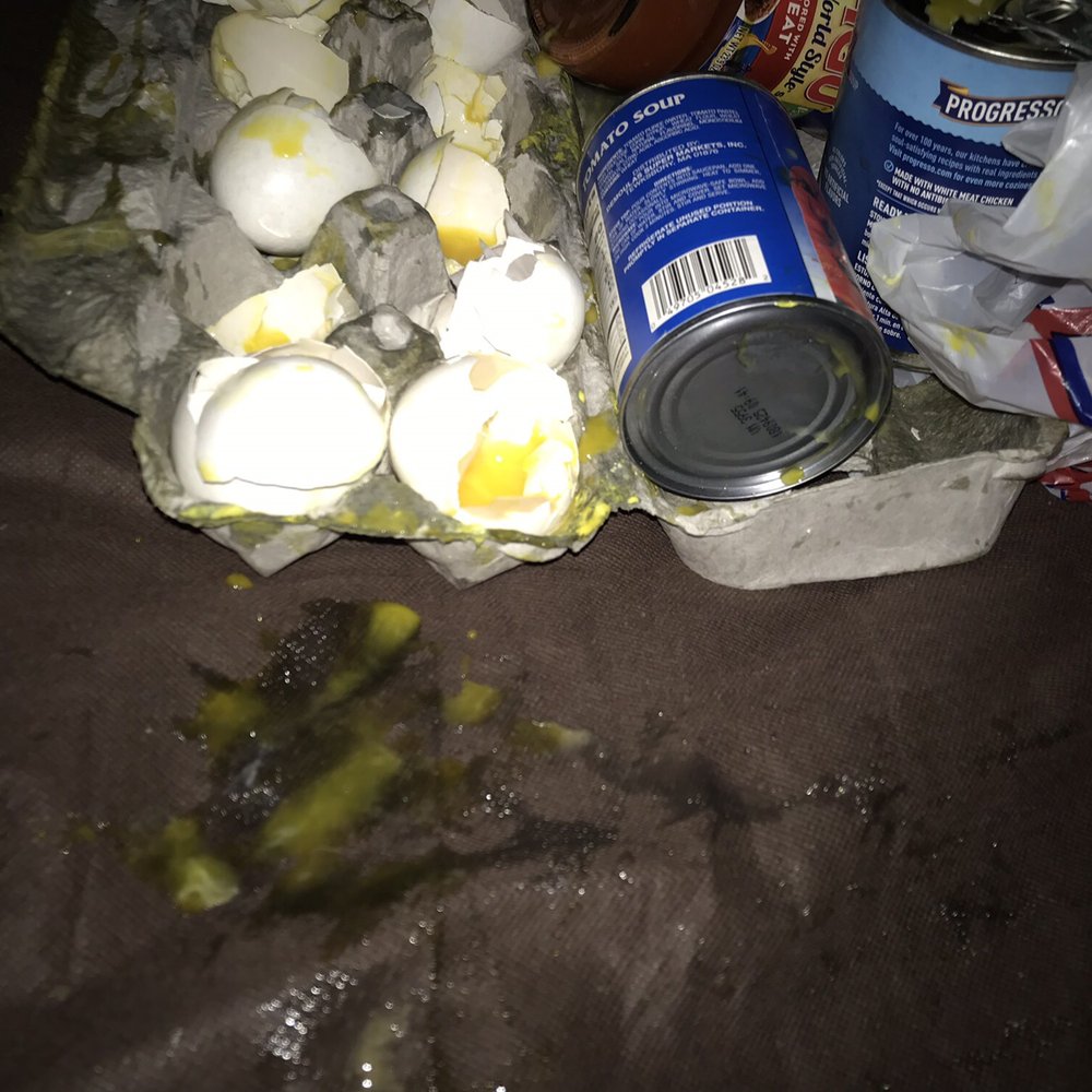 Market Basket - eggs, pickles, and a can of soda - Grocery Near Me - Manchester, New Hampshire Market Basket - eggs, pickles, and a can of soda - Grocery Near Me - Manchester, New Hampshire
