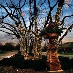 Holidynamics - Linden Estates in Omaha, NE installed by our crew using LED Sparklers and light sets.