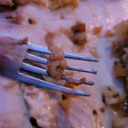Campeche Restaurant - Tiny ground up shrimp