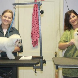 Kayce's Pet Parlor