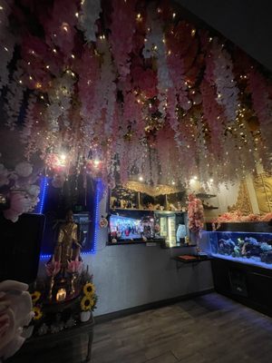 Signature Thai Cuisine by null