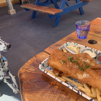 Garbo’s - Tuesday Fish special.  And my dog Stella--Sit down stay down. Enormous piece of fish. - Seafood Near Me - Austin, Texas
