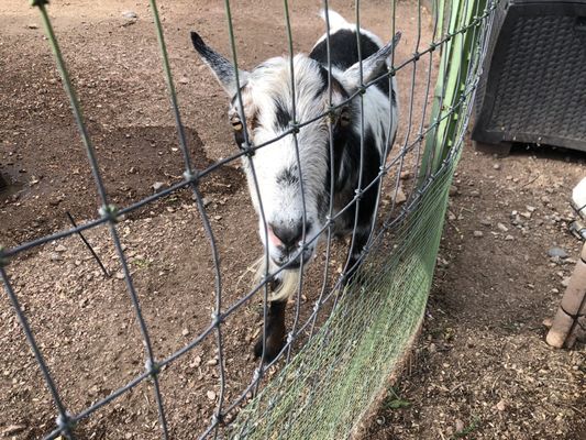 Civano Nursery - Retail Location by null