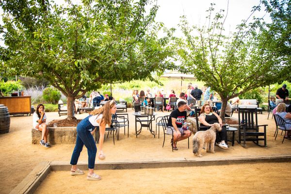 Dry Creek Vineyard by null