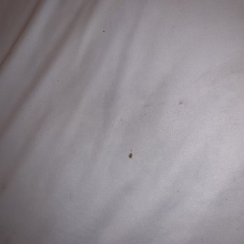 Huttopia White Mountains - Mysterious stains on bed - Campgrounds Near Me - Albany, New Hampshire