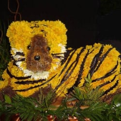 Webbs Flowers