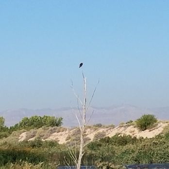 Wetlands Trail Connector - Eagle - Hiking Near Me - Henderson, Nevada Wetlands Trail Connector - Eagle - Hiking Near Me - Henderson, Nevada
