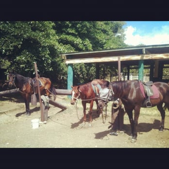 Koko Crater Equestrian Center - Vinny, muffin And erby! - Horseback Riding Near Me - Honolulu, Hawaii