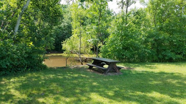 Checkerboard County Park Trails