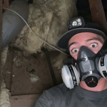Wipe Out Pest Control - This place had a ton of old droppings!! - Pest Control Near Me - Placentia, California Wipe Out Pest Control - This place had a ton of old droppings!! - Pest Control Near Me - Placentia, California