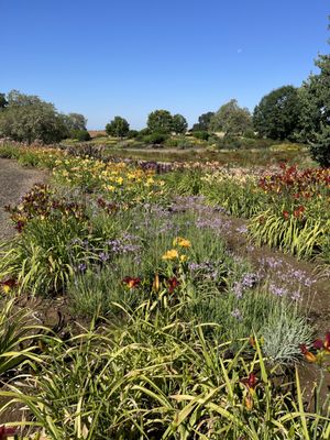 Amador Flower Farm by null