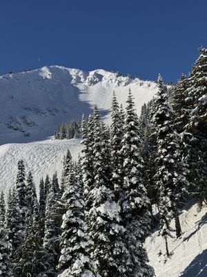 Crystal Mountain Resort by null