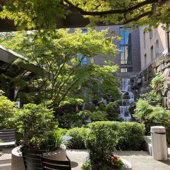 Waterfall Garden - An oasis in pioneer square - Parks Near Me - Seattle, Washington Waterfall Garden - An oasis in pioneer square - Parks Near Me - Seattle, Washington