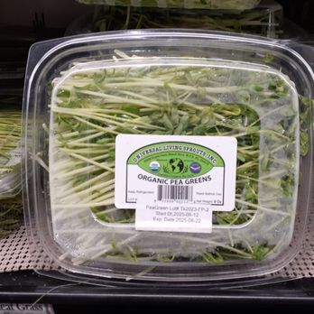 Universal Living Sprouts - 8.17.25 Pea Greens - properly labeled - Health Markets Near Me - West Palm Beach, Florida Universal Living Sprouts - 8.17.25 Pea Greens - properly labeled - Health Markets Near Me - West Palm Beach, Florida